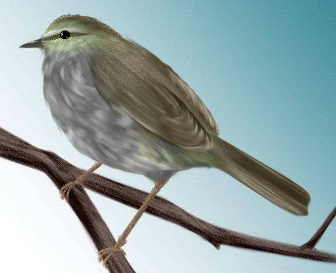 ウグイスのtwitterイラスト検索結果 ウグイスのtwitterイラスト検索結果
