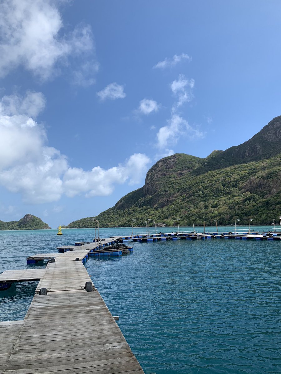 Le Vietnam les gars!!!