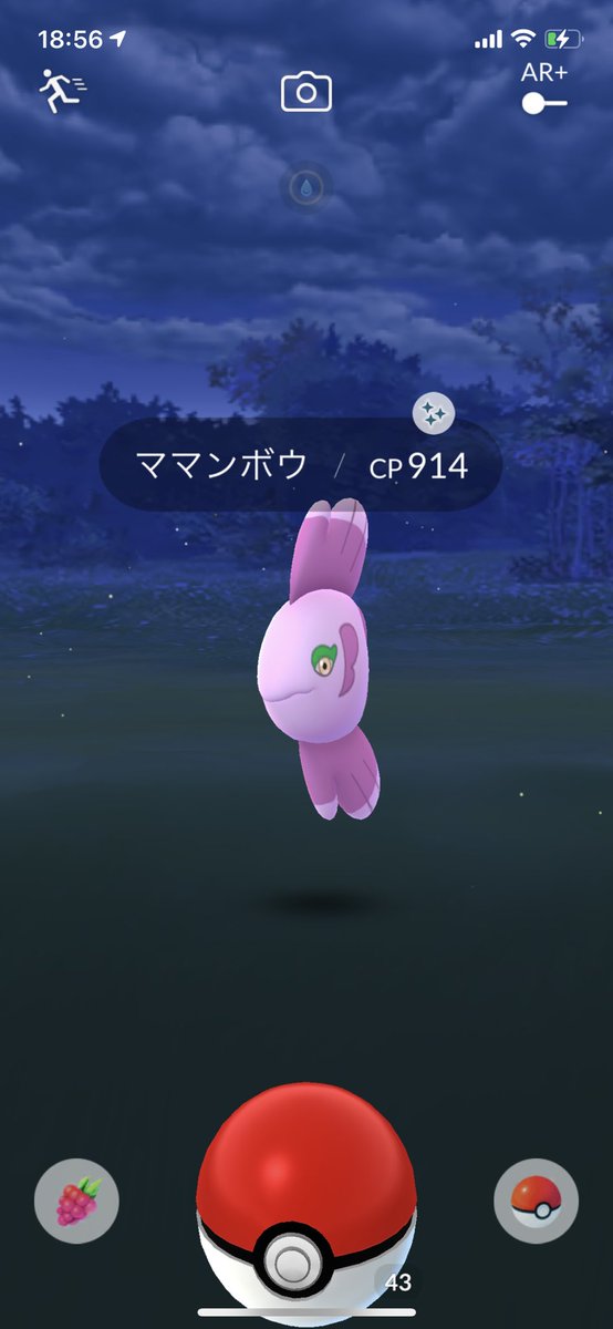 sias1205's tweet photo. 初タスクでいきなり！
色弱で色違いに一瞬気づかなかった😭
#PokemonGO 
#PokemonGOfriends https://t.co/TjcpfyrCSe