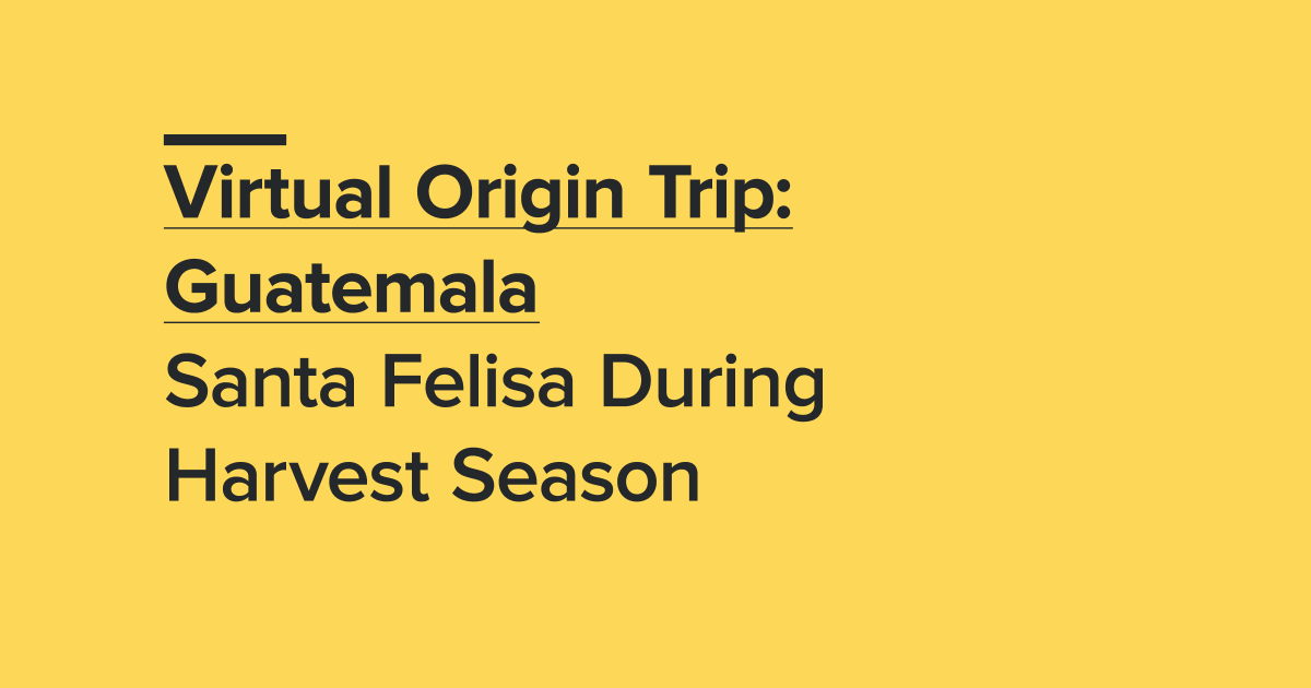 SpecialtyCoffee's tweet photo. 🥳 Join the @CoffeeRoastersG on IG Live this Friday, February 19— straight after the final session of #SensorySummit Europe &amp; Africa— for a Virtual Origin Trip to @santafelisa.

Follow the CRG and tune in on Friday at 11am PST / 7pm GMT: https://t.co/tejOOkGJcB https://t.co/U40t6AigiE