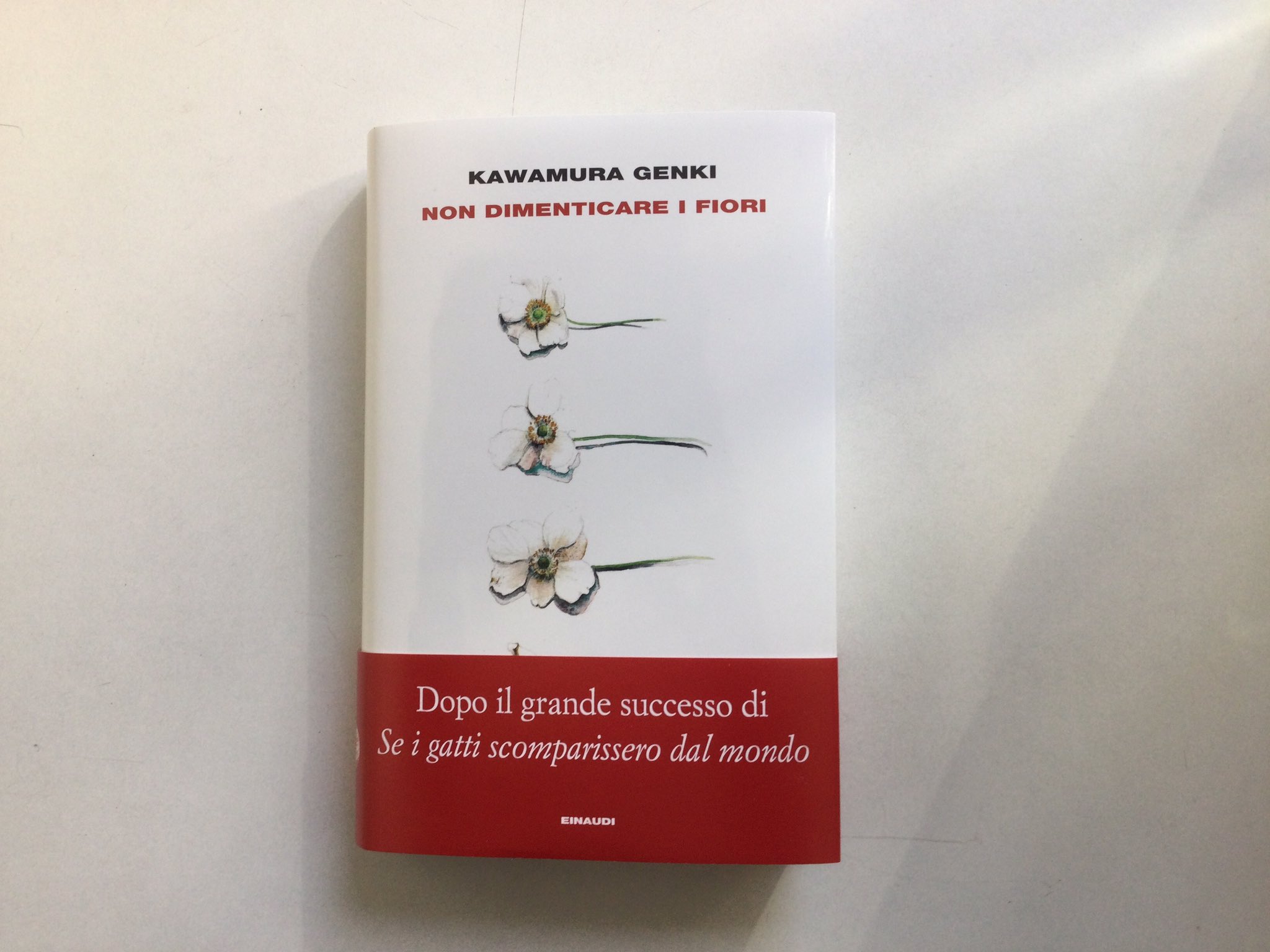 Einaudi editore on X: Certo, oggi è la #giornatadelgatto, ma NON  DIMENTICARE I FIORI. In libreria da domani il nuovo romanzo di Kawamura  Genki, l'autore di SE I GATTI SCOMPARISSERO DAL MONDO.