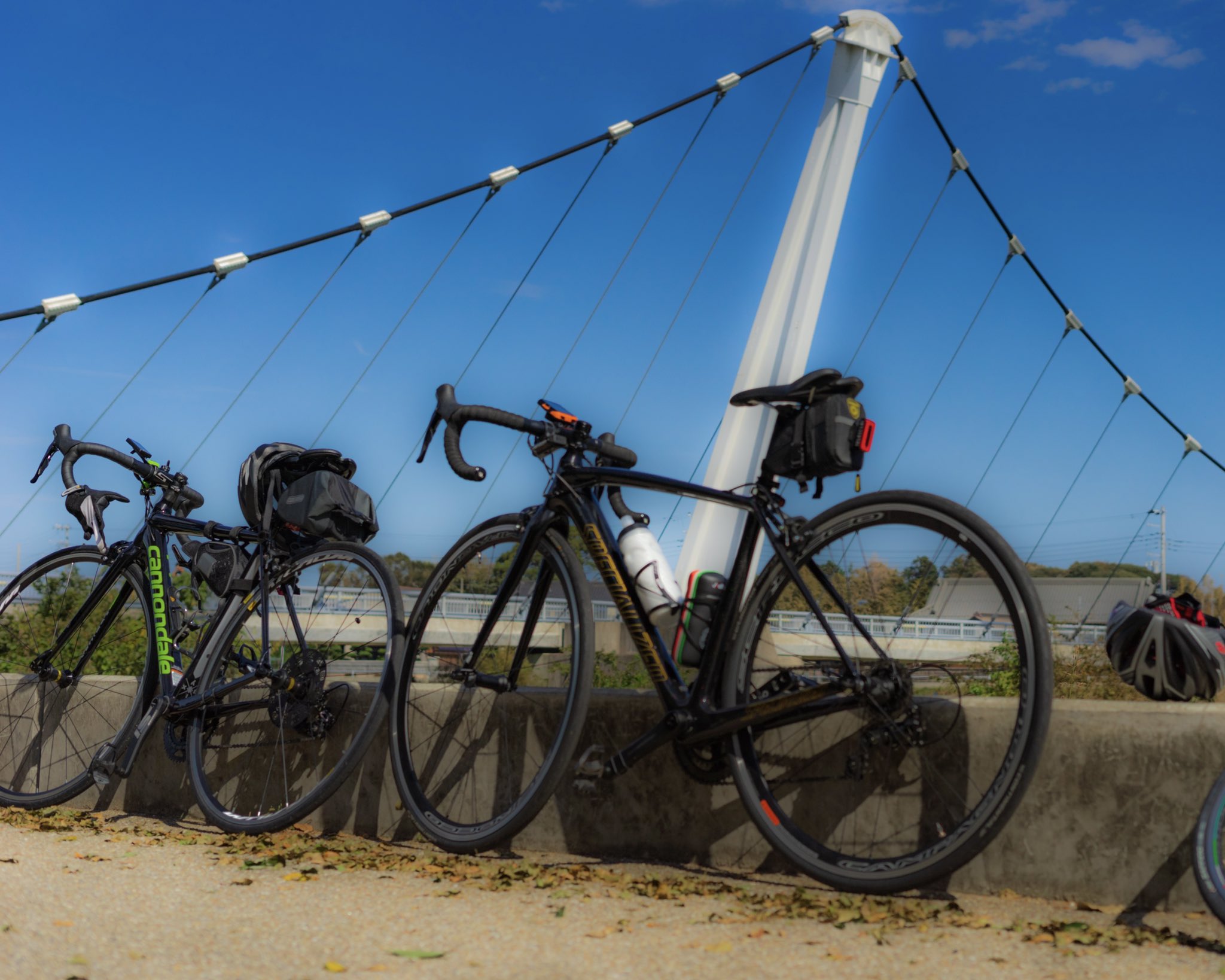 ロード 境川 サイクリング サイクリングコース