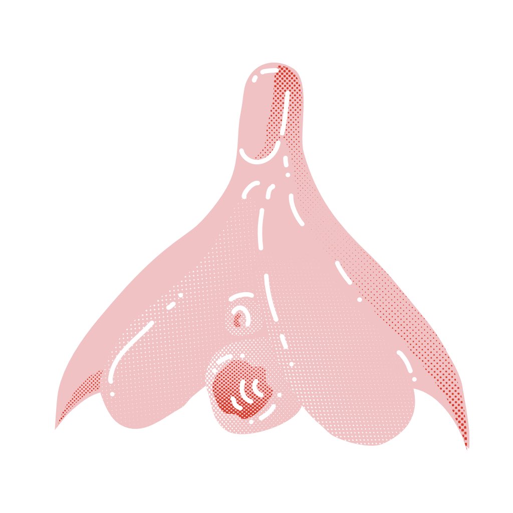 brunhilda tweet media