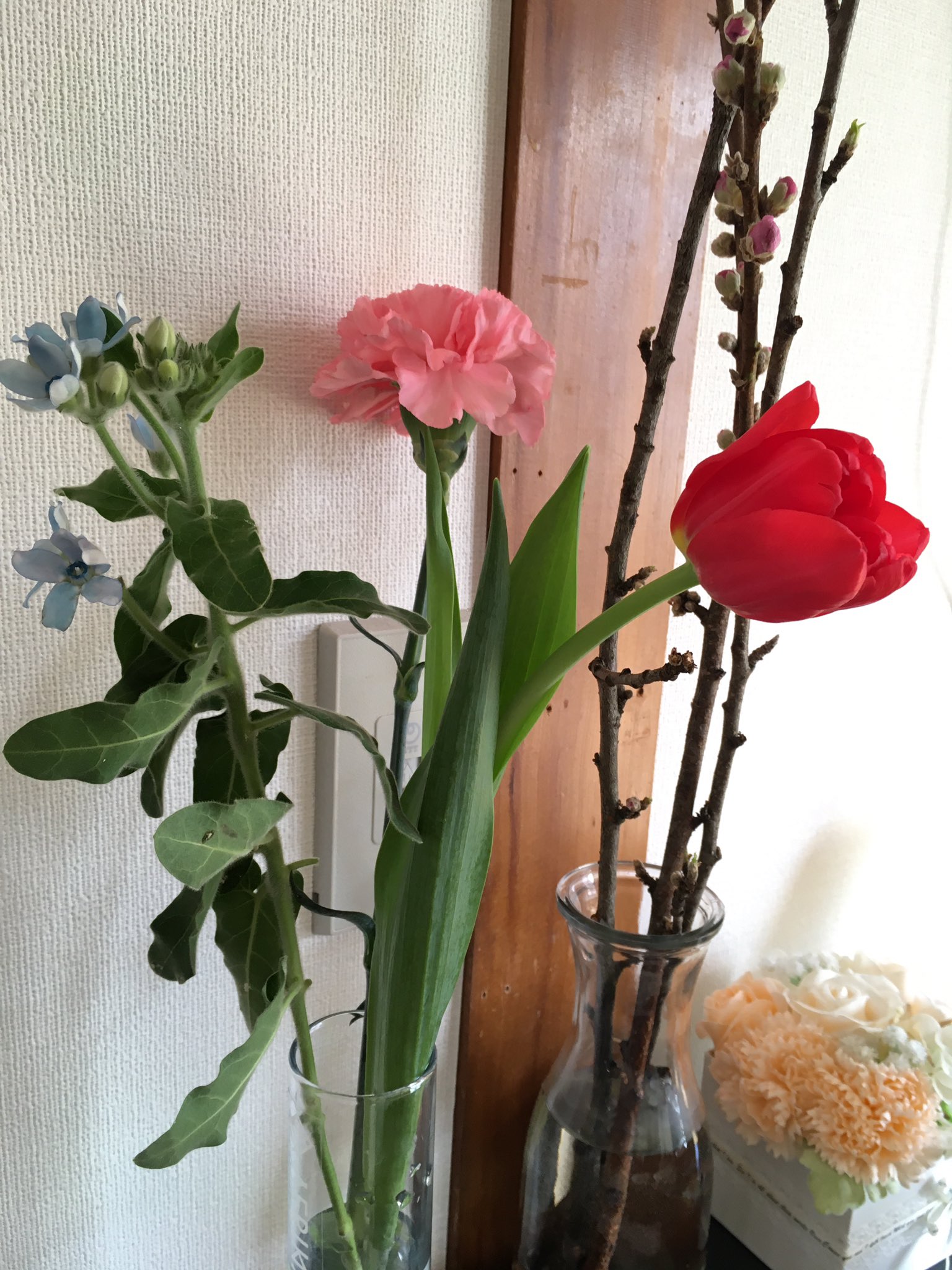 تويتر ヤマロク 仙台八幡店 على تويتر 商店街のお花屋さん 花友さん Ichirinno Hana から お祝いいただきました カーネーションと ももの花 チューリップ いずれも 子が産まれたこと 母になったことに意味付けられた とっても素敵な プレゼント ありがとう