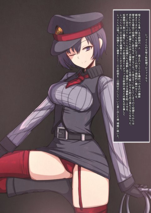 レッドくんの女怪人性奴隷プロファイル5をfantiaとpixivfanboxに投稿しました。むかーし作ったvtuberのキャラデザなんだけどもったいないから女怪人シリーズにリメイクしてぶっ壊れてもらうことにしました。 