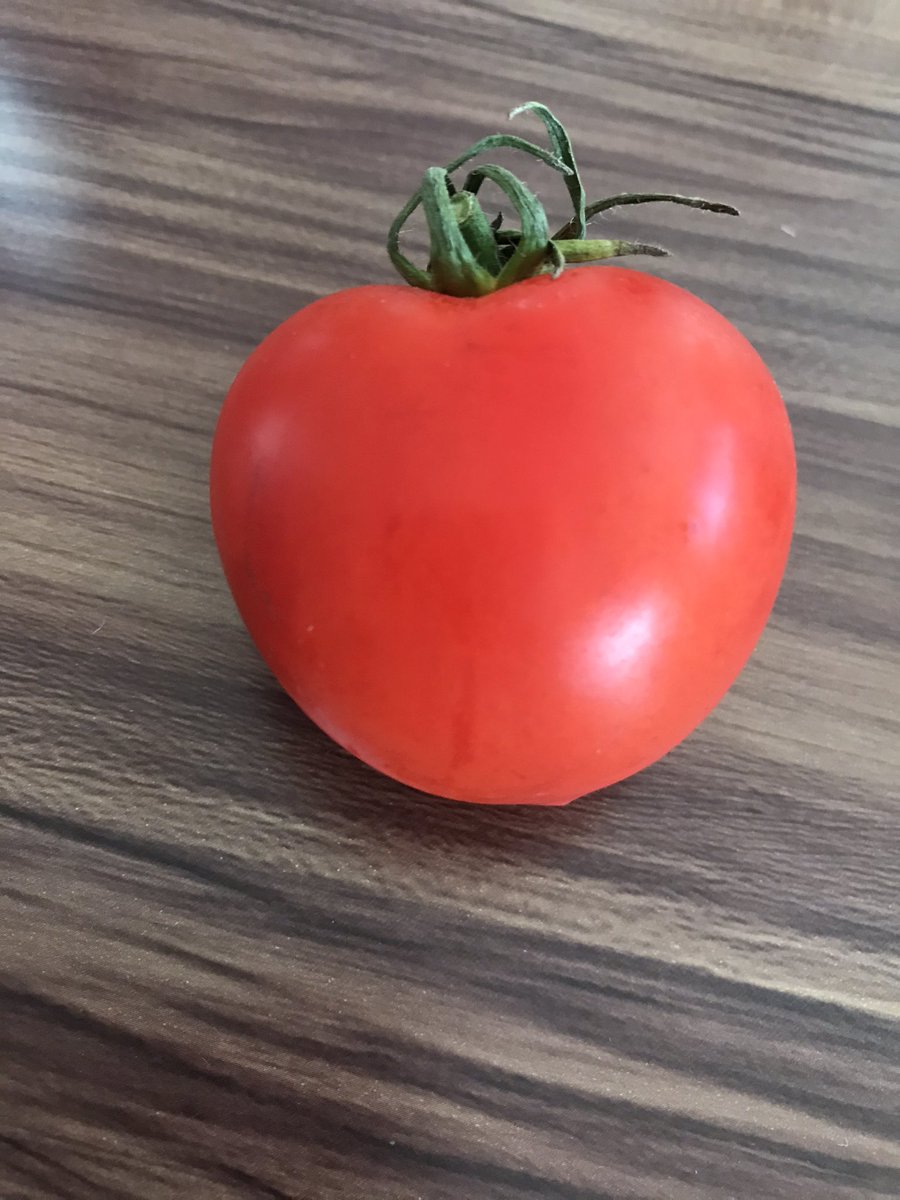 ハートトマトでハートマト❤️🍅。ルン♫。