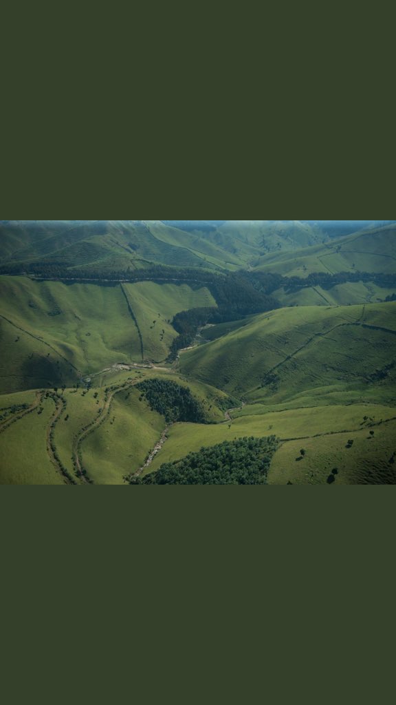 Mutesi doreen (EDoreen79) Twitter