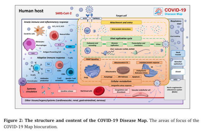revised preprint "COVID-19 Disease Map, a computational knowledge repository of SARS-CoV-2 virus-host interaction mechanisms" now online: biorxiv.org/content/10.110…