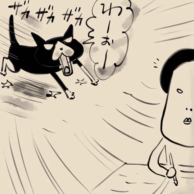多喜ちゃんのンコ☆ハイ
〜お知らせバージョン〜 