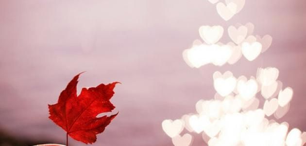 ɱŏŏŋツ tweet media