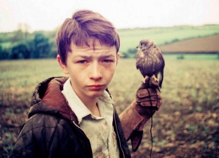 JuanFerrerVila's tweet image. “We did a film called &apos;Kes,&apos; which is about a lad with a talent that nobody can recognise, or that nobody chose to recognise.”
Ken Loach

Kes (1969).