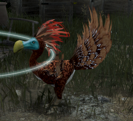 AllPlus_Ultra's tweet photo. Is this what happens when a Dodo and a Turkey have sex?
#BlackDesertonline #pcgaming #plusultragaming https://t.co/irtX9KY8kB