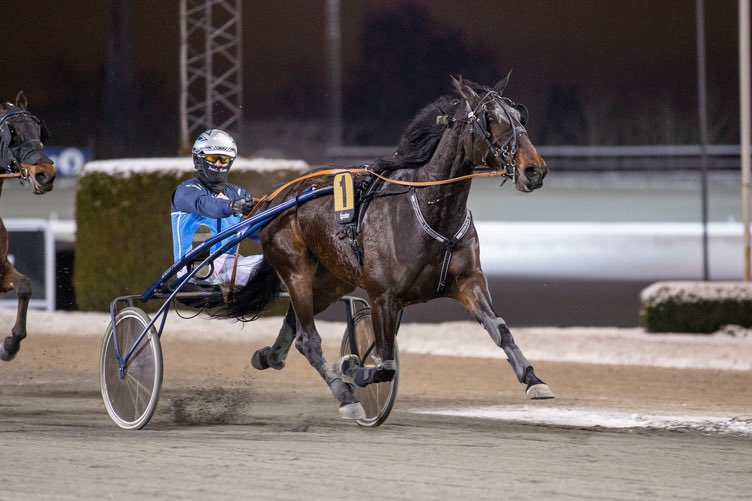 Sofies Case med 2 av 2 så langt i år 🥇💥 Gratulerer til eiere <a href="/JohansenKai/">Kai Johansen</a> og <a href="/Maria23Galloway/">Maria Hansen</a>!