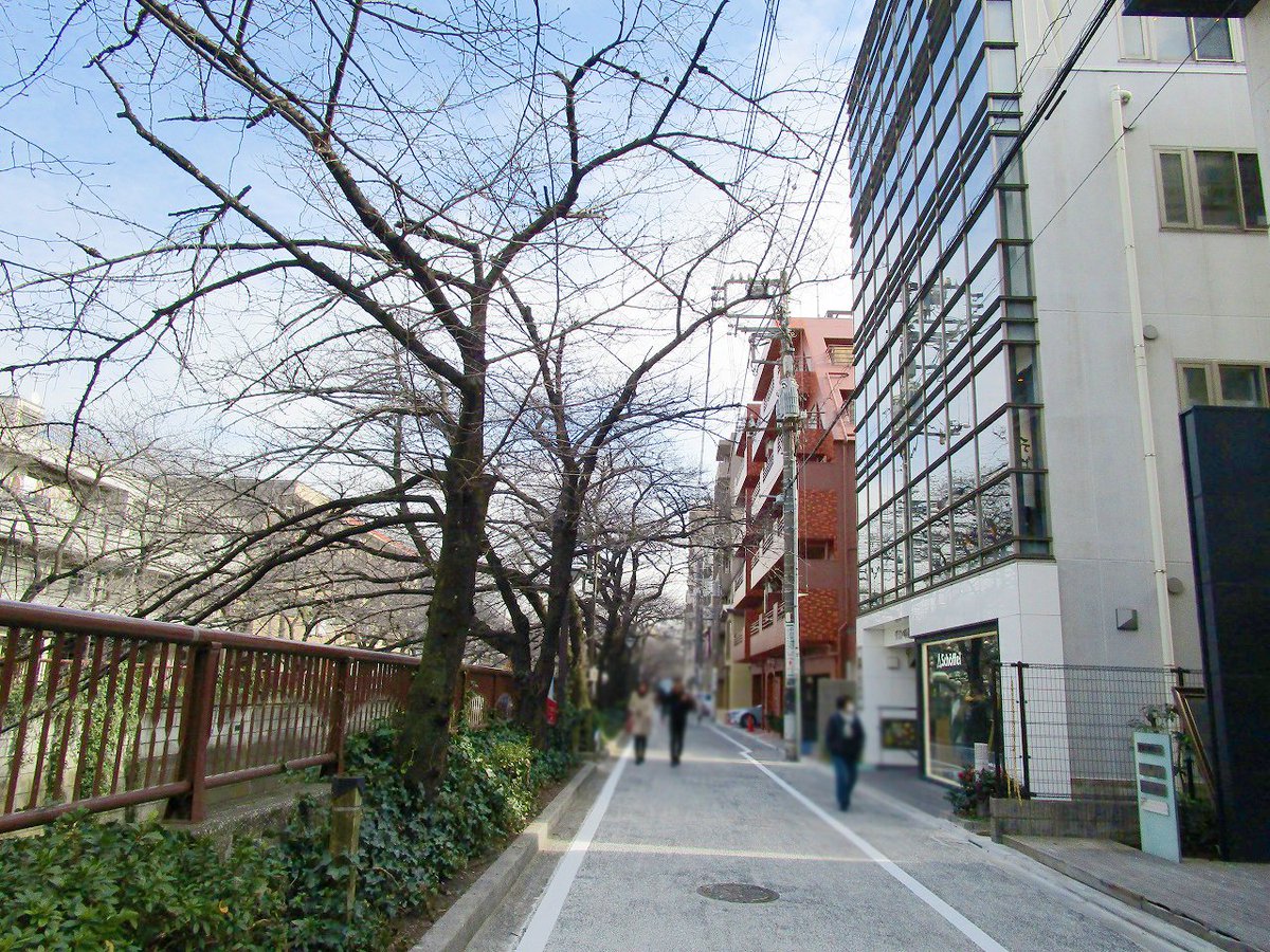 Az Plus 中目黒4分 代官山9分 目黒川沿い 2階店舗 中目黒駅から徒歩4分 桜並木で有名な目黒川沿いにある2階貸店舗 前面ガラス張りでオシャレな物件 直接階段有 スケルトン引渡し 業態については別途ご相談下さい T Co Az Plus 中目黒4分 代官山9分 目黒川沿い 2階店舗 中目黒駅から徒歩4分 桜並木で有名な目黒川沿いにある2階貸店舗 前面ガラス張りでオシャレな物件 直接階段有 スケルトン引渡し 業態については別途ご相談下さい T Co