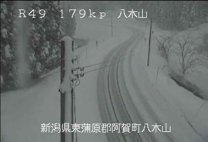 県 情報 新潟 システム 雪