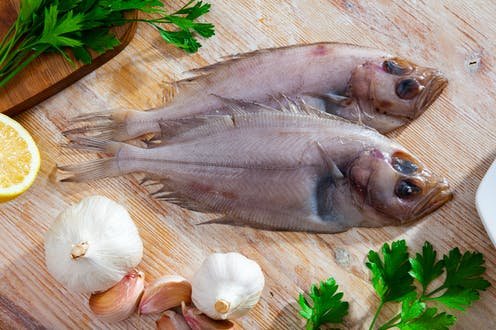 BD_Stew's tweet photo. How to rebrand a #fish so that it sounds tastier https://t.co/1St8uWi2hw #fishing #fisheries #seafood https://t.co/2ChMKL7qBq