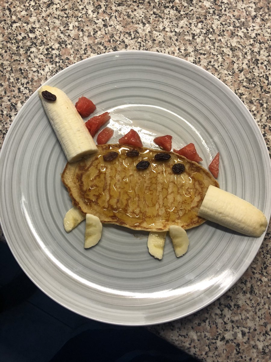 A little late but yesterday’s #PancakeDay effort for the little one, a prehistoric pancake!!