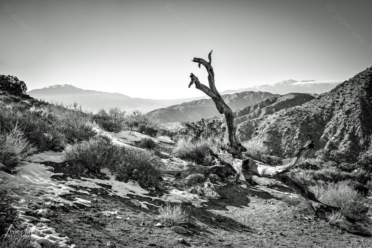 proof_photo's tweet photo. I love the #depth and layers in this #blackandwhitephoto taken at #KeysView in @JoshuaTreeNPS 
#hikingadventures #landscapephotography #wallart #blackandwhitephotography #JoshuaTree @NikonUSA #Nikon #PhotoOfTheDay #helpingothers #nonprofits 
https://t.co/TtBY3ilK55 @SeanMorreale https://t.co/KU87deiXIy