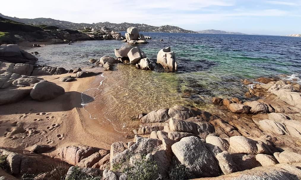 🙋‍♀️Buongiorno👋👋 da #palau  
#sardegna #mare #estate2021 #sole #vacanza  #solesardegna  @igers_sardegna @viaggioinsardegna
@sardegna_di @portalesardegna  #travelphotography #travelgram #instagram #igerssardegna
@sardanews