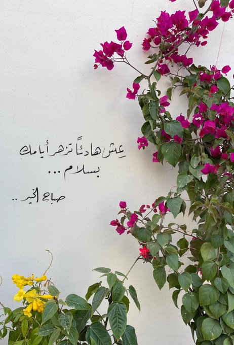 تغريدات سعود الأخيرة 1 تحليل تويتر الرسومي الخاص بهوتوي