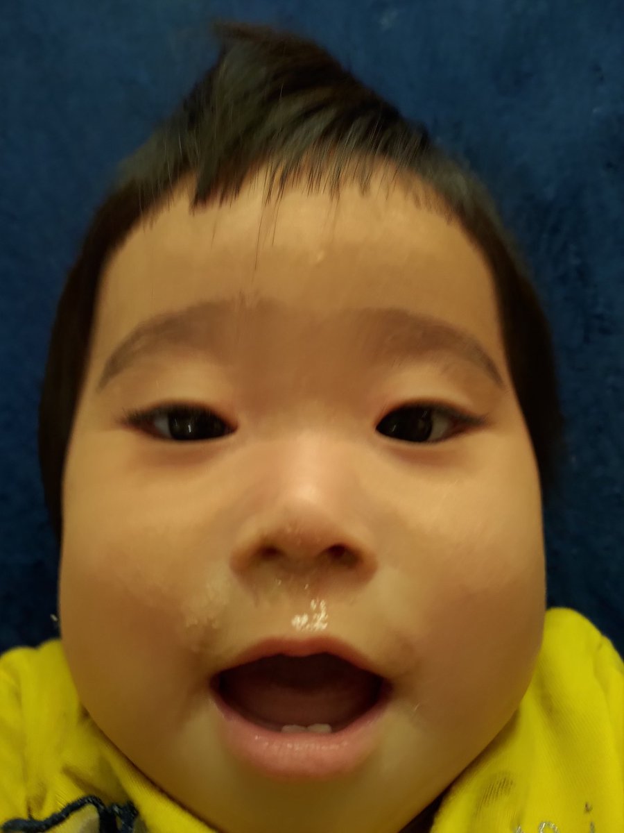 モエ之助 Tisyamori Twitter