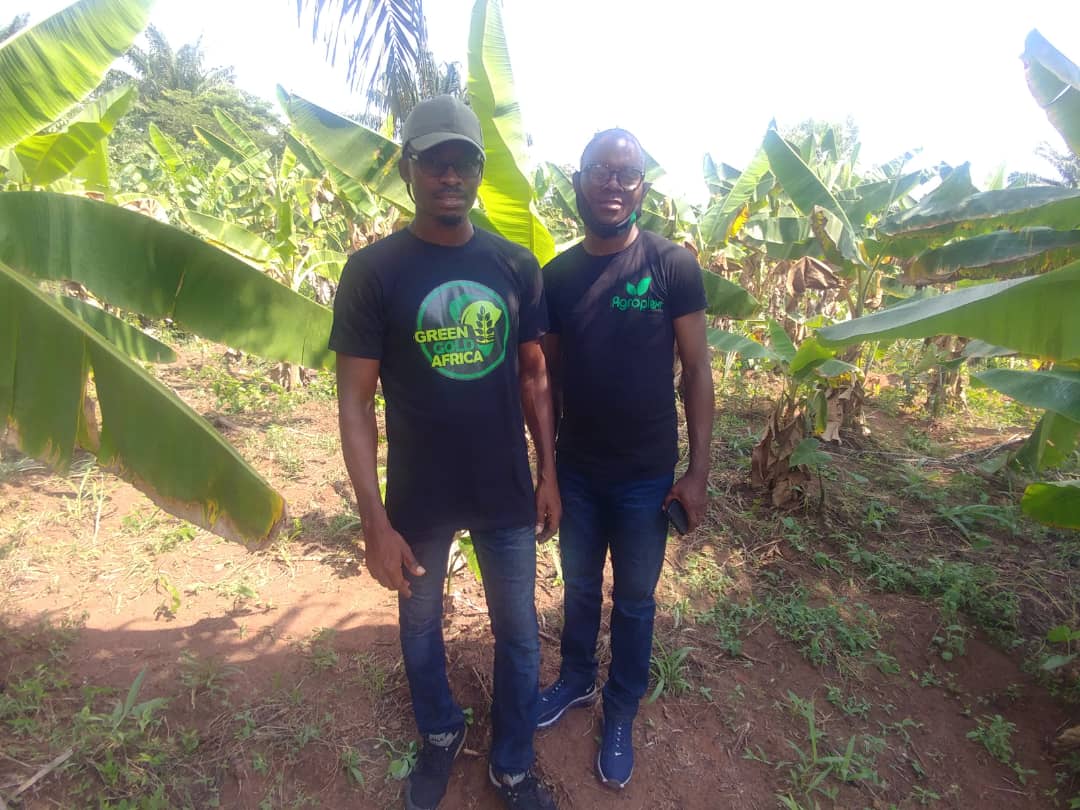Agroplexi tweet media