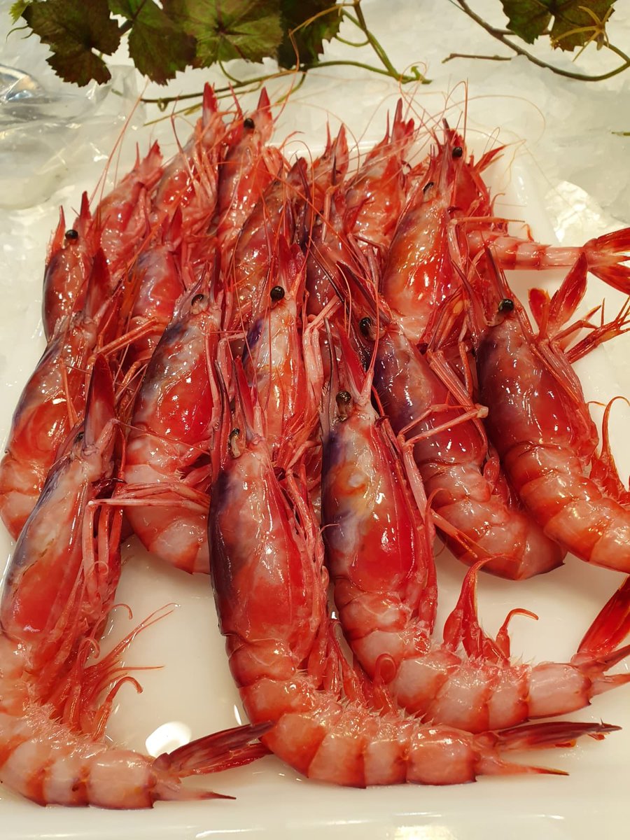 Corosotero's tweet photo. Que rica es la gamba esta, te las puedes hacer a la plancha con aceite y sal gorda, cocidas o currarte un arroz para ti solo o para la familia que te lo agradeceran😉
🚐Reparto gratuito a domicilio
📞943428696
#pescaderia #pescado #arraina #fish #mercado #market #food https://t.co/Fc2tUVoGKZ