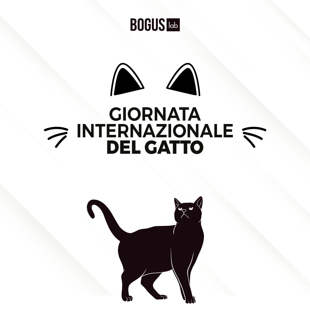 Felice giornata del gatto al nostro gattone Brivido e a tutti i suoi amici! 🐱

#worldcatday