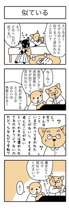 学芸員の観察日記68「似ている」
#学芸員のお仕事  #学芸員のおしごと 