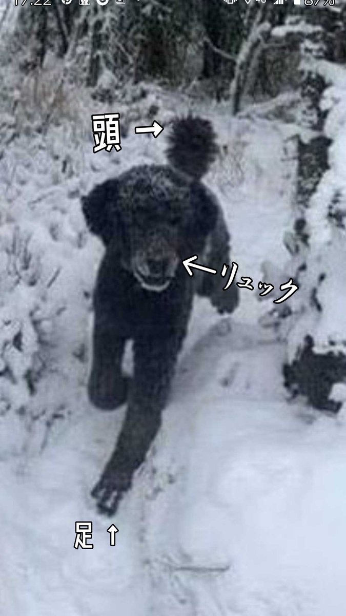 まるでだまし絵 犬なのかおじさんの後ろ姿なのかわからない写真 話題の画像プラス まるでだまし絵 犬なのかおじさんの後ろ姿なのかわからない写真 話題の画像プラス