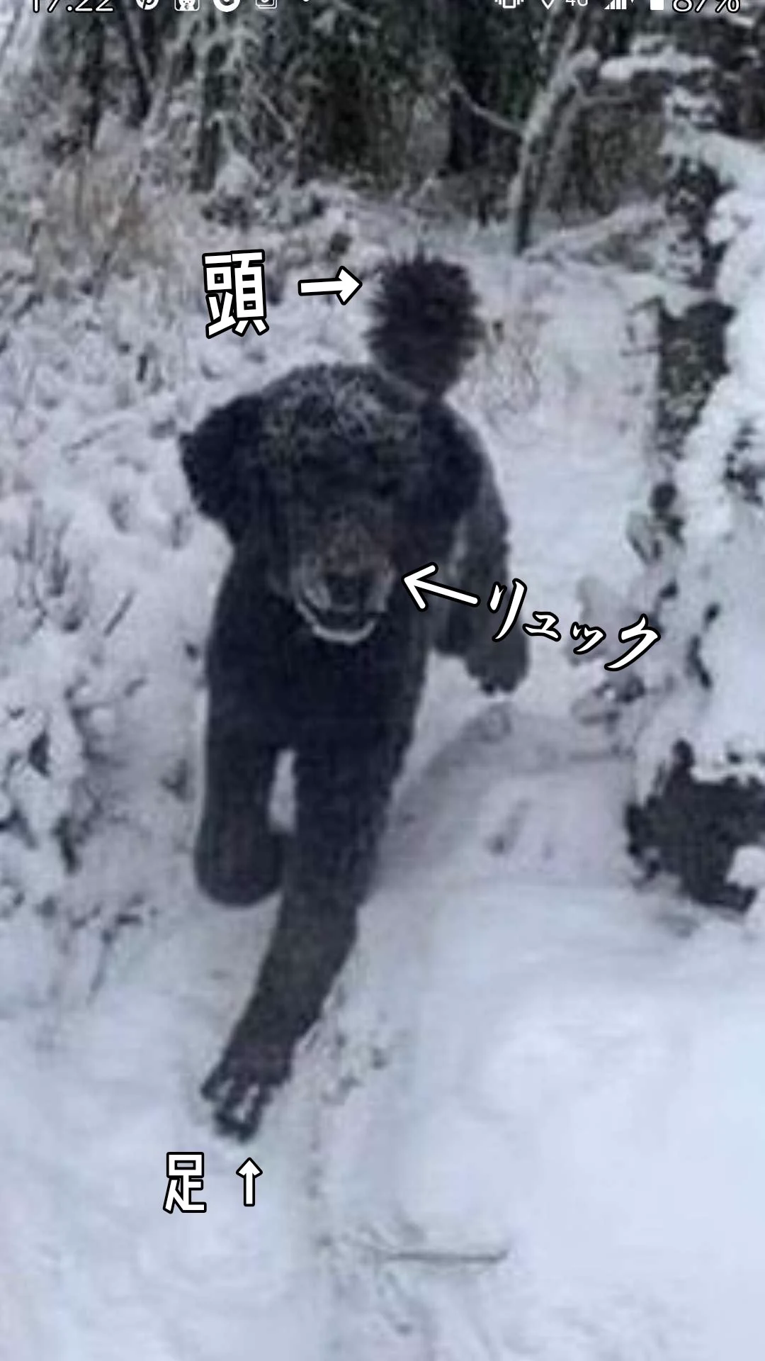 @CPAKO999 ﾖｼｯ! 