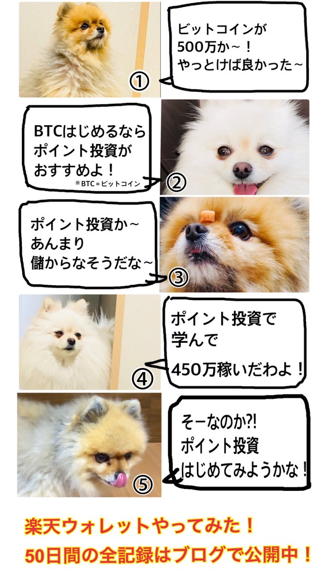 りん ブログ 楽天room ポイ活 プチプラ投資 ブログ更新 楽天ポイントを持っている方 必見 楽天ウォレット50日間やってみた 投資成績 完全公開 楽天ポイントを使って ビットコインを毎日100円分購入 その結果は Url T Co