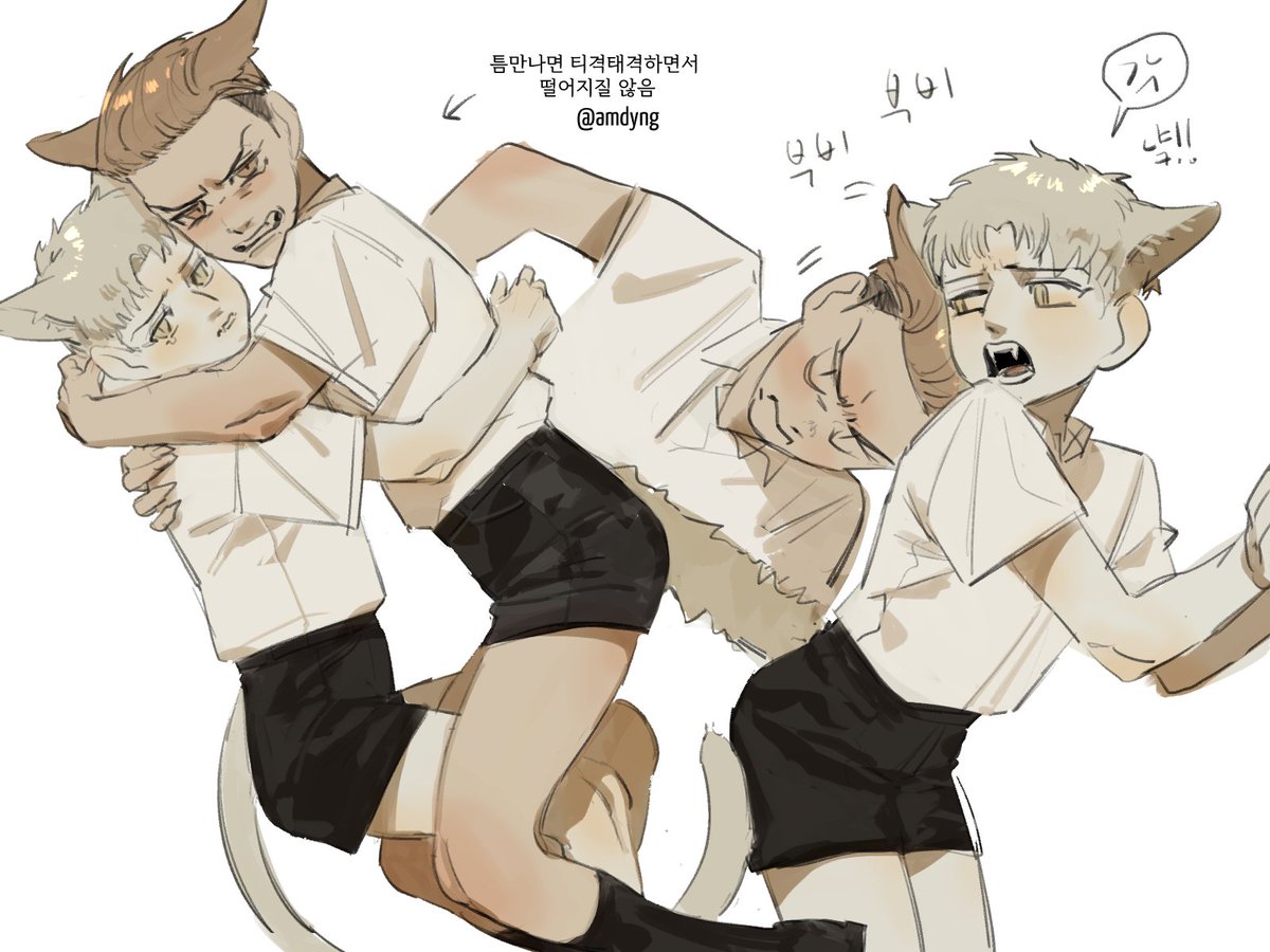 갤리라이 냥