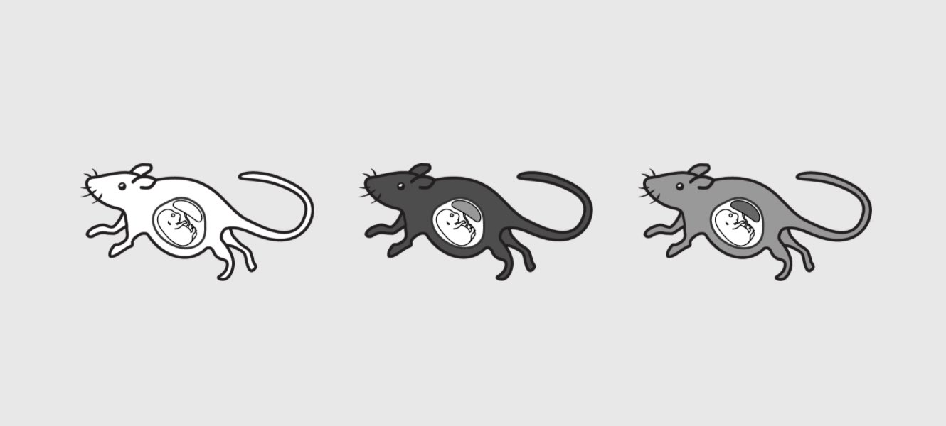 Lab Icons This Week S New Icons Pregnant Mice T Co Shpgpflrg9 Pregnant Mice Mouse Icon Illustration Illustrator Free Experiment Science マウス 妊娠 アイコン イラスト プレゼン フリーアイコン フリー 実験 研究