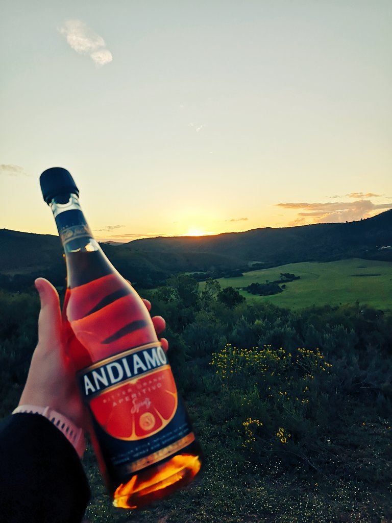 Cami Skerritt tweet media