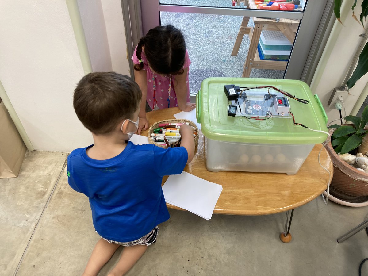 Natalie Connor (@natalieconnor7) on Twitter photo We have some new egg friends in our incubator! Today we noticed a small crack in one of them! Will it hatch soon?!! <a href="/MYISMagic/">MYIS International School</a> #ibpyp #earlychildhoodeducation We have some new egg friends in our incubator! Today we noticed a small crack in one of them! Will it hatch soon?!! <a href="/MYISMagic/">MYIS International School</a> #ibpyp #earlychildhoodeducation
