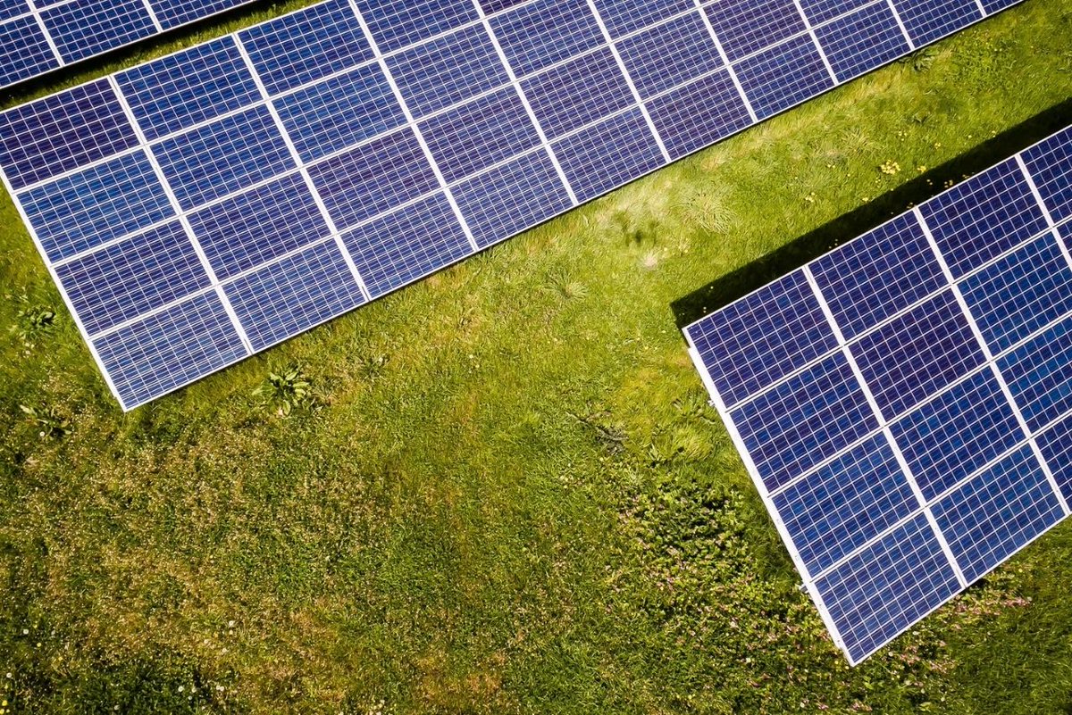 Kiwa Moroni tweet media