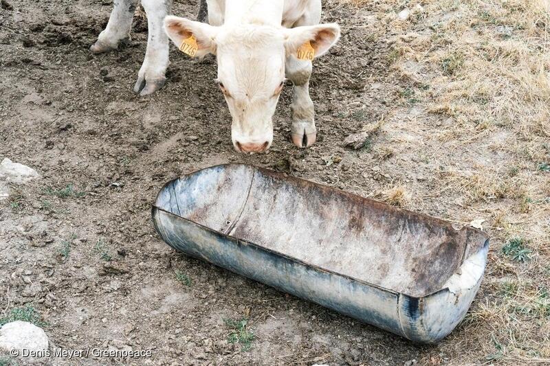 Menurut Badan Nasional Penanggulangan Bencana (BNPB), 7 dari 10 bencana di Indonesia seperti banjir, longsor, kekeringan, kebakaran hutan, dan cuaca ekstrim, erat kaitannya dengan krisis iklim.