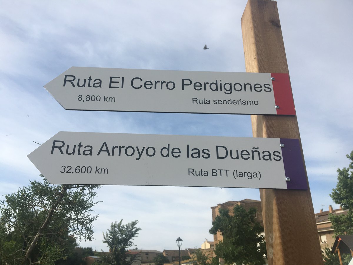 caminosgu's tweet photo. Diseño y gestión de rutas de #senderismo, señalización, paneles informativos..... https://t.co/mLIYEmr6cW vía  @caminosgu @PinillaJadraque @Ayto_ZarzuelaJa @AytoJadraque @Jadraqueturismo @SierraNorteGU @Turismosiguenza @ViveSiguenza @AlmonacidZorita @InfoOreate @TrilloyComarca https://t.co/B0xQ2Cl9IA