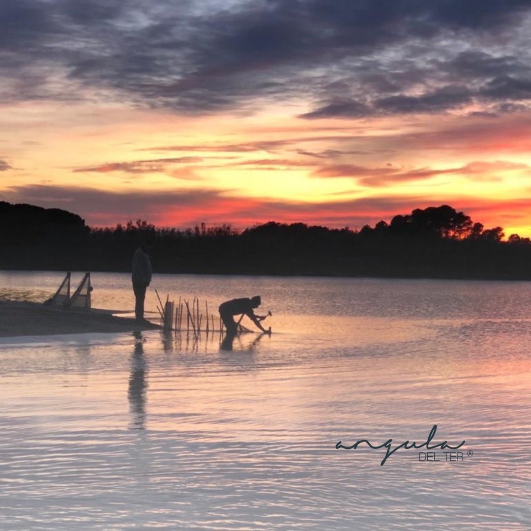 anguladelter's tweet photo. ➡El nostre indret, el nostre paratge, és el més valuós que tenim; perquè d'aquí provenen les nostres angules.

🖤La pesca artesanal, sostenible i respectuosa amb el medi ambient és la única manera que coneixem de treballar.

〰️https://t.co/000PUKgP34〰️

#pescasostenible #angula https://t.co/bkL3lt9hwr