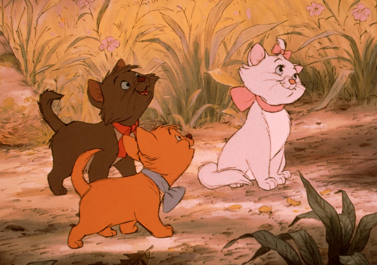 おしゃれキャット