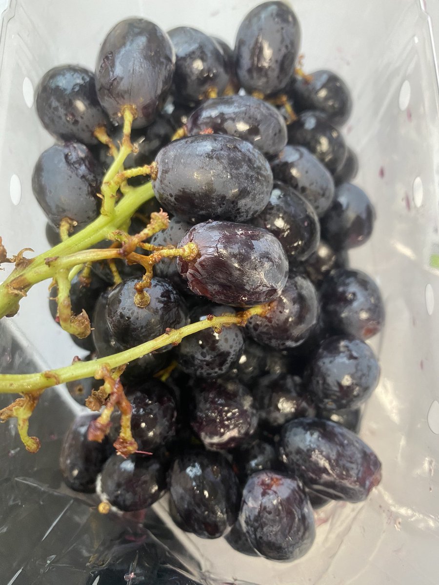 rachstone's tweet photo. Bought these grapes last night from @sainsburys and they are mouldy! 🤮 https://t.co/BzIrz0nwWb