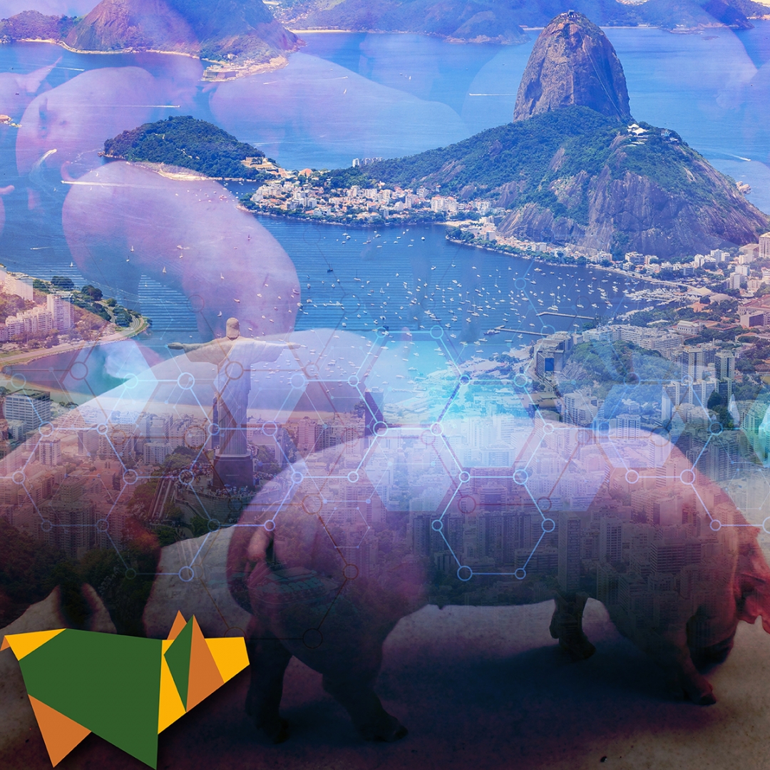 ipvs2022's tweet image. The IPVS2022 will be held in Brazil, on June 2022, in Rio de Janeiro. The city will be the stage for the world's most important event of the swine industry, and is the Brazilian tourist attraction most desired by visitors from everywhere. See details on ipvs2022.com.