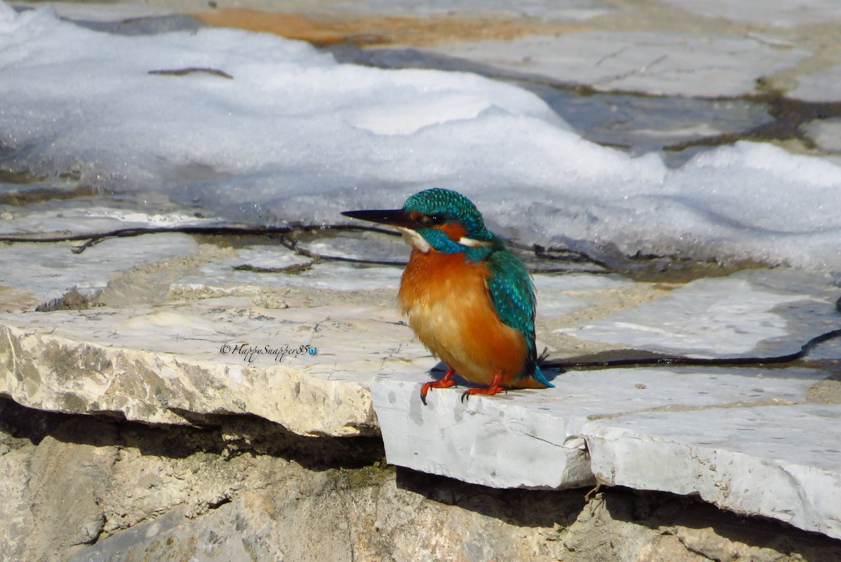 Diana 🦋 tweet media