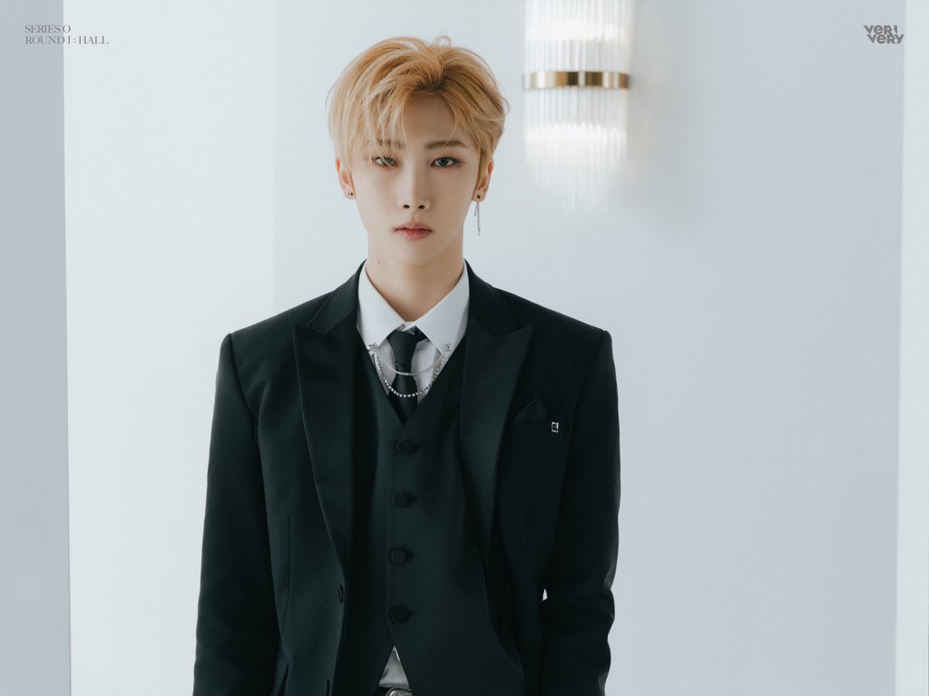 VERIVERY Members Profile (Updated!)
