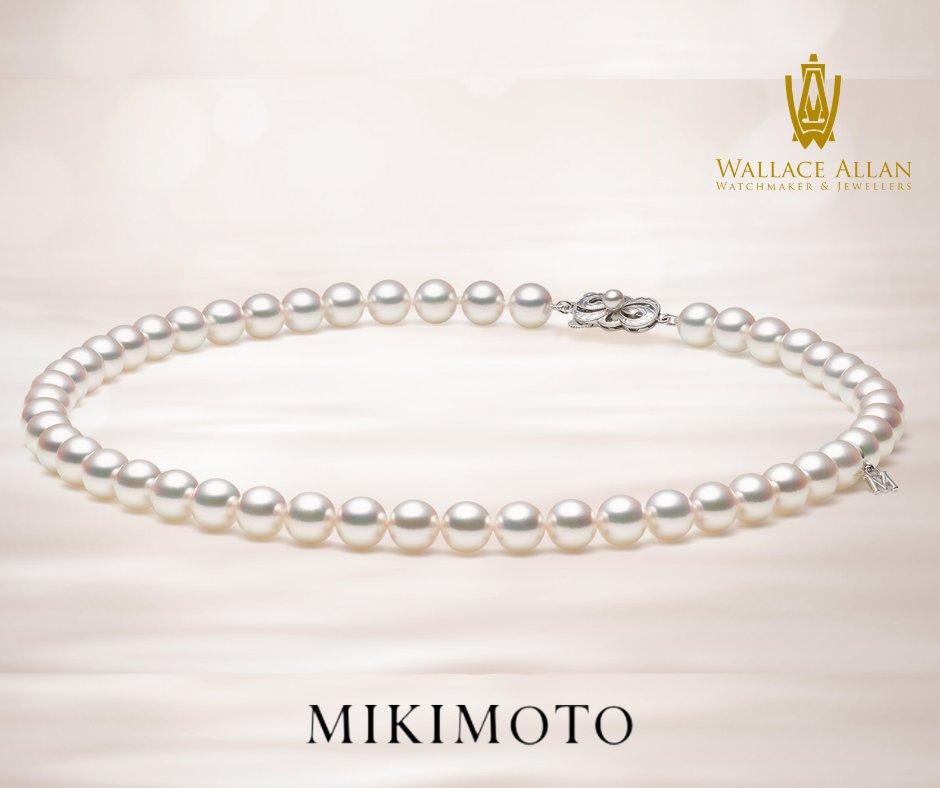 White A grade quality Akoya pearl single strand bracelet with the signature Mikimoto emblem in 18 Kt white gold.
Shop Pearls Online today at Wallace Allan 
wallaceallan.co.uk/jewellery/miki…
#Mikimoto #Pearls #designer #fashion #Elegance #LuxuryPearls #ShopOnline #AkoyaPearls #Bracelet