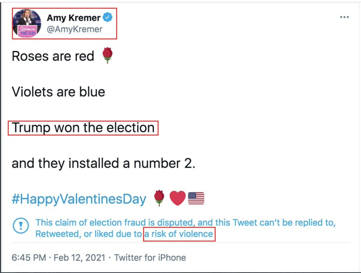 Twitter labeled one of  @AmyKremer's false tweets for posing "risk of violence."  @KylieJaneKremer, Amy's daughter and partner at Women for America First, said Twitter locked Amy's account for 7 days.