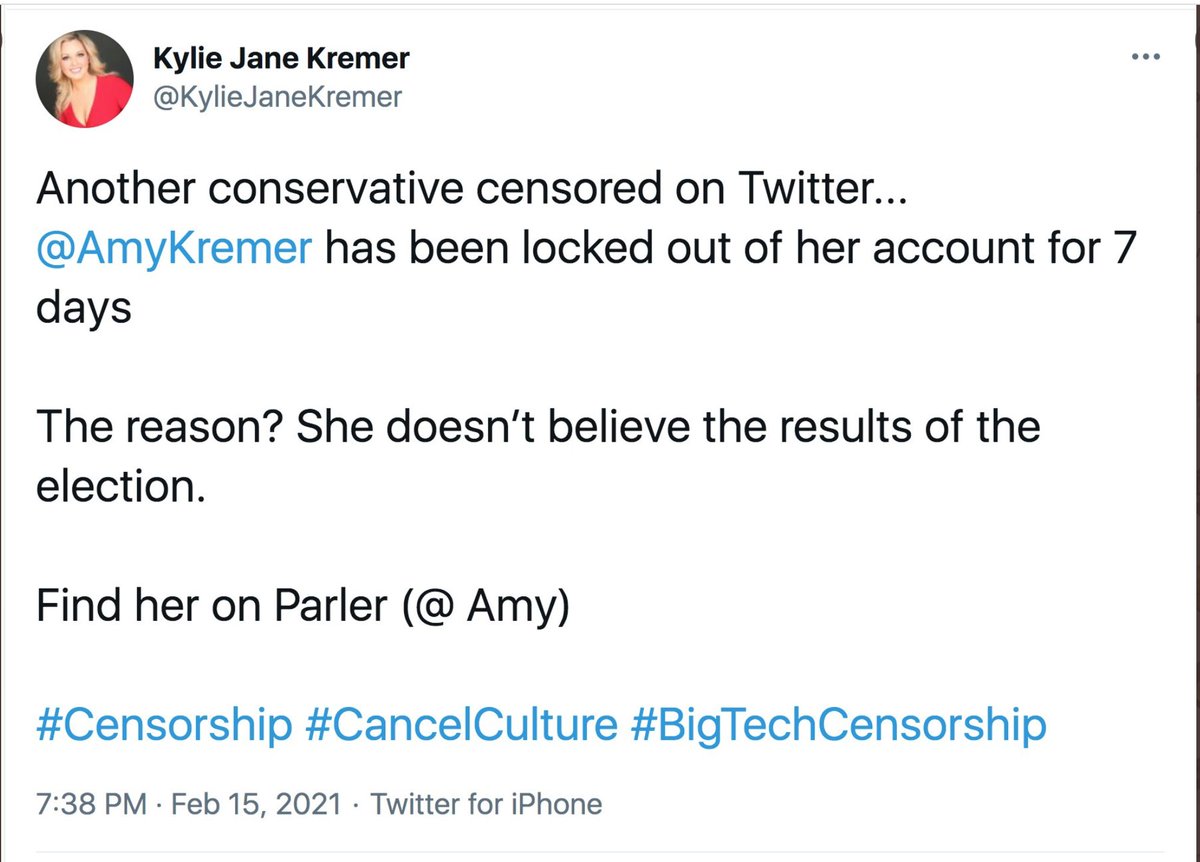 Twitter labeled one of  @AmyKremer's false tweets for posing "risk of violence."  @KylieJaneKremer, Amy's daughter and partner at Women for America First, said Twitter locked Amy's account for 7 days.
