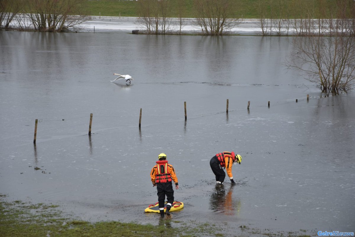 'Vastgevroren zwaan' laat brandweer oefenen in het water -..