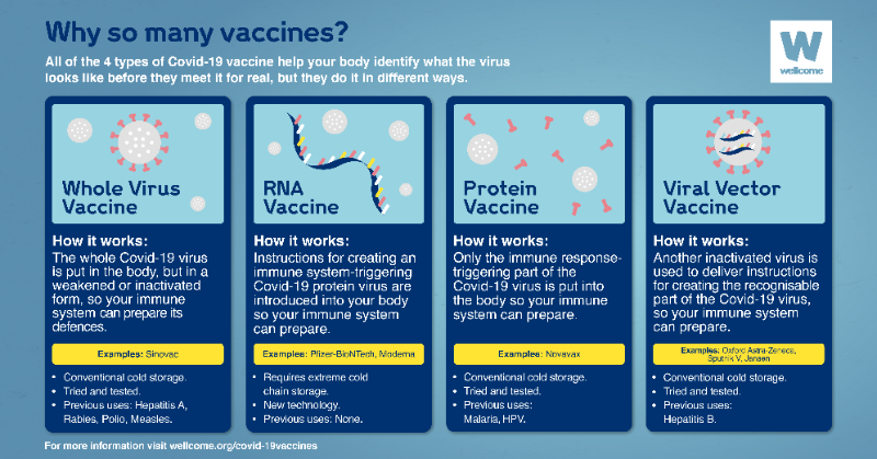 wellcometrust's tweet photo. To end the #Covid19 pandemic we need to use a range of vaccines, to suit different people and situations around the world.

But what are the different types and how do they work? Find out more at: https://t.co/C2eVFuKdJx
